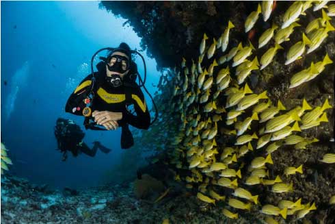 Diver beside coral reef